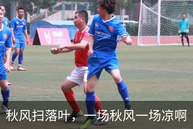 秋风扫落叶，一场秋风一场凉啊